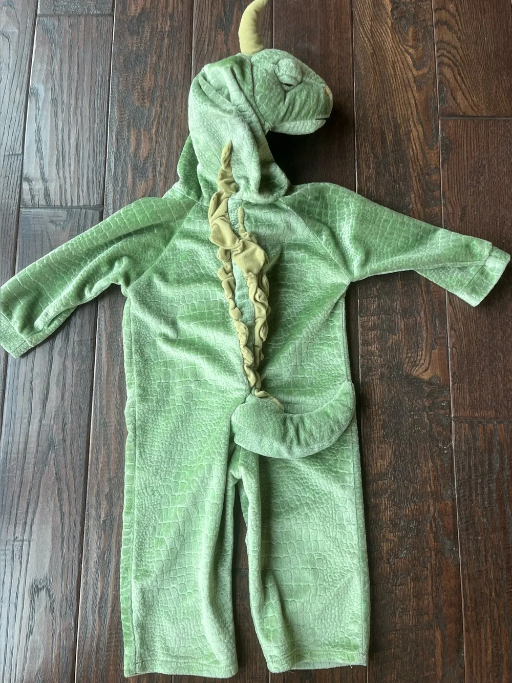 Halloween Costume Dragon
